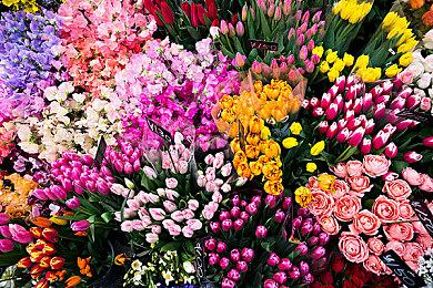 2D飞行动作游戏《火箭企鹅》Steam页面 2025年发售